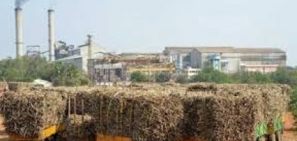 Índia apresentará aliança global de biocombustíveis no G20