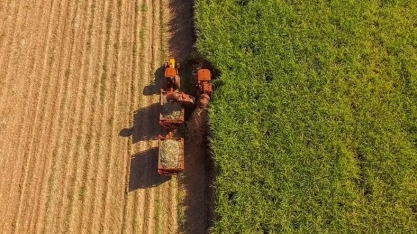 Agropecuária Iracema: Proteção do canavial é assunto de  constante preocupação