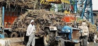 Índia fabrica 39,4 milhões de t de açúcar no ciclo 2021/22 e supera Brasil