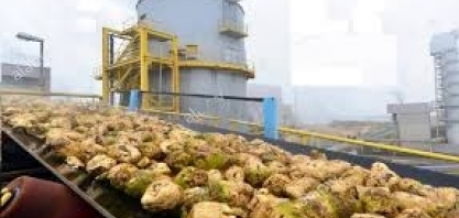 Sucden vê aperto na oferta global de açúcar até julho de 2023