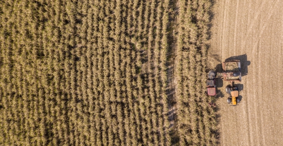 Apresentação da Orplana no evento terá como foco a sustentabilidade no campo e no negócio em si