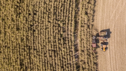 Bonsucro Global Week: Orplana participa de painel mostrando como o mundo pode aprender com os produtores de cana-de-açúcar do Brasil