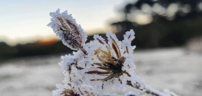 Novembro terá frio intenso e chance de neve; veja a previsão