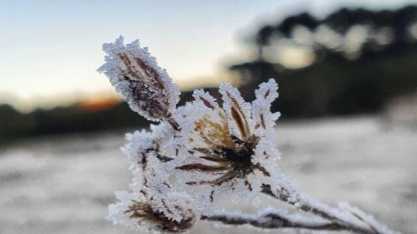 Novembro terá frio intenso e chance de neve; veja a previsão