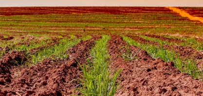 Atvos prevê retorno de R$ 5,8 milhões por safra com tecnologia de monitoramento e controle do processo de preparo de solo e plantio