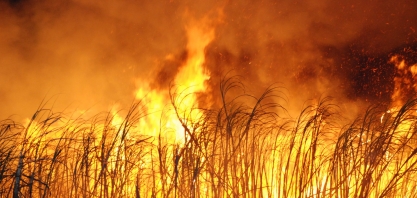 Inovação tecnológica faz a diferença na prevenção e controle de incêndios nos canaviais da Usina Estiva