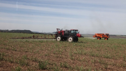 Escolhendo o herbicida ideal para o controle de daninhas no canavial