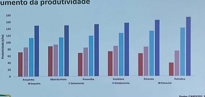 Impactos da irrigação por gotejamento na dinâmica da safra
