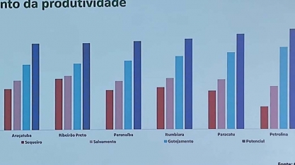 Impactos da irrigação por gotejamento na dinâmica da safra
