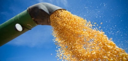 Previsões da Conab sustentam crescimento do mercado de etanol de milho, diz Unem