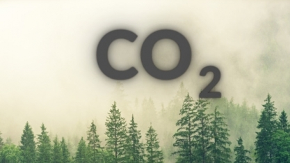 Tecnologias de combustão podem gerar CO2 praticamente puro para ser estocado ou reutilizado