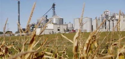 Milho/USDA: uso para etanol nos EUA diminui 3% em agosto, para 10,97 milhões de t