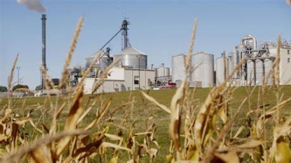 Milho/USDA: uso para etanol nos EUA diminui 3% em agosto, para 10,97 milhões de t