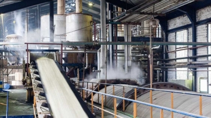 Preços recordes do açúcar na UE deixam fabricantes de doces com sabor amargo