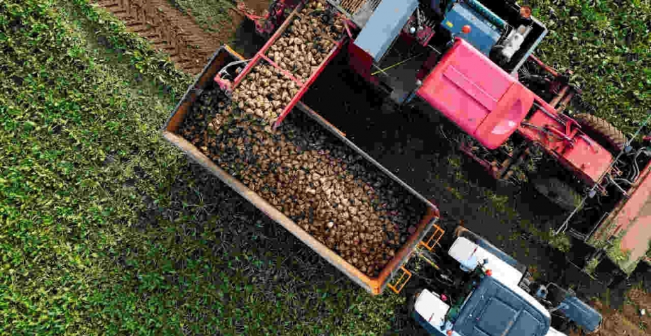 O sindicato de produtores de beterraba sacarina CGB saudou a decisão da Tereos e pediu a outros produtores de açúcar na França que considerem aumentar seus preços de compra (Imagem: REUTERS/Pascal Rossignol/File Photo)