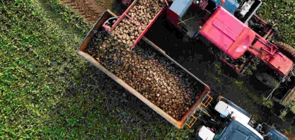 Tereos aumenta preços pagos por beterraba em 40% em meio à alta do açúcar na UE