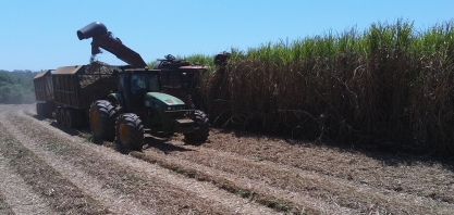 Análise Econômica e Operacional de Preparo de Solo e Colheita Mecanizada