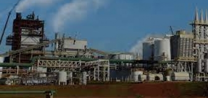 Adecoagro completa 20 anos de atividades focada na produção eficiente e sustentável de energia e alimentos