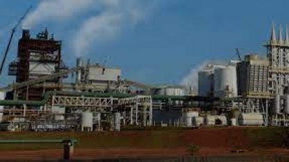 Adecoagro completa 20 anos de atividades focada na produção eficiente e sustentável de energia e alimentos