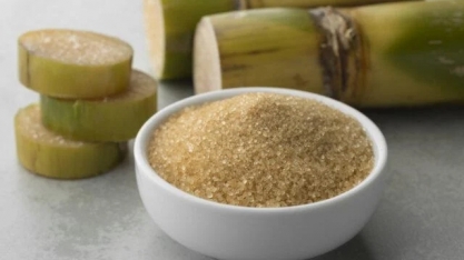 Moagem cresce para 27,69 milhões toneladas na 1ª quinzena de outubro