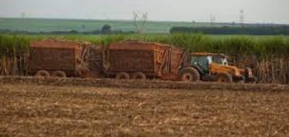 Cana: USDA em São Paulo estima moagem de 563 milhões de t no Centro-Sul em 2022/23 (+7,65% ante 2021/22)