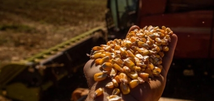 Usinas de etanol de milho em Mato Grosso devem impulsionar demanda em 6,24%