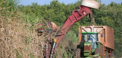 Produtividade da cana-de-açúcar cresce, mas MS não consegue recuperar as baixas do início da safra