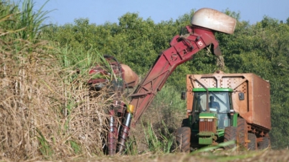 Produtividade da cana-de-açúcar cresce, mas MS não consegue recuperar as baixas do início da safra