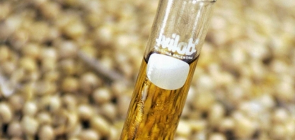 Bunge e Olleco criam joint venture para coleta de óleo e produção de combustível renovável