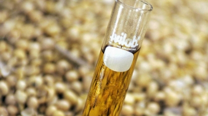 Bunge e Olleco criam joint venture para coleta de óleo e produção de combustível renovável