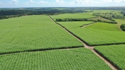 Safra 2022/23: Usinas da Paraíba aumentam produção de etanol em 10%