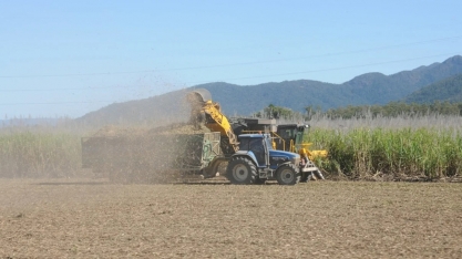 Czarnikow reduz previsão de produção de açúcar do Brasil em 2022 em 700 mil t