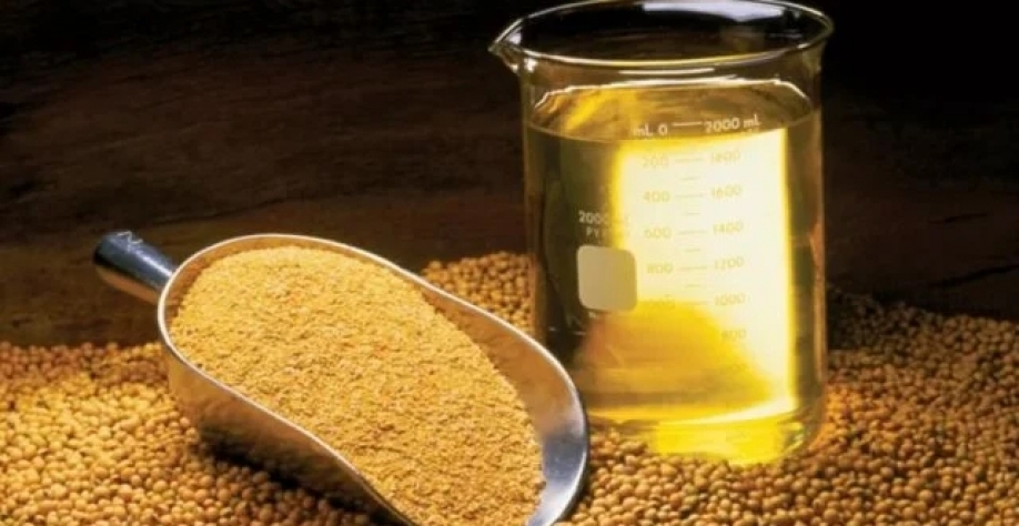 Esmagamento de soja. Foto: United Soybean Board/CCommons