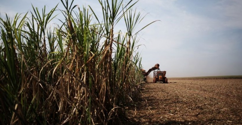 A variação positiva representa um crescimento de 5,4% entre os dois ciclos. - Foto: Assessoria