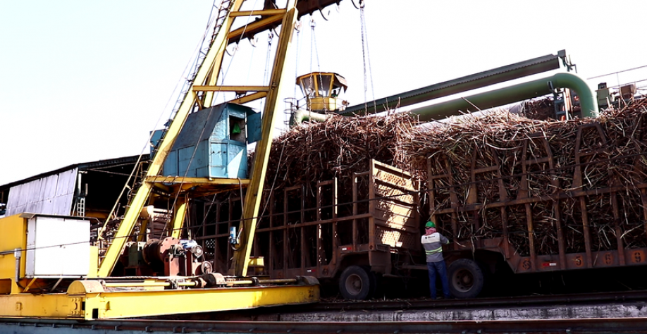 Trabalho usineiro. - Foto: BCCOM