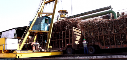 Sindaçúcar-AL: safra 22/23 ultrapassa 3,1 milhões de toneladas de cana processadas