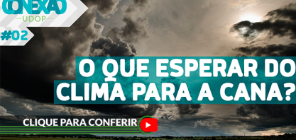 Cana-de-açúcar: Como deve se comportar o clima nos próximos meses?