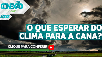 Cana-de-açúcar: Como deve se comportar o clima nos próximos meses?