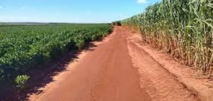 Projeto analisa perda de nutrientes pela erosão em áreas de cana e soja
