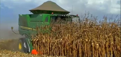 Instalação de usinas de etanol estimulam a produção de milho em Mato Grosso