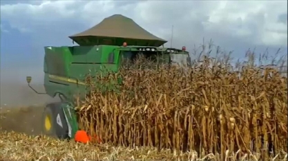 Instalação de usinas de etanol estimulam a produção de milho em Mato Grosso