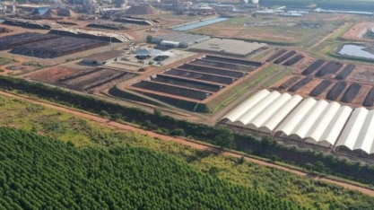 Indústria transforma resíduos de eucalipto em corretivos, substratos e fertilizantes para o solo