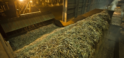 Até o dia 1º de outubro, 240 unidades bioenergéticas estavam em operação no Centro-Sul