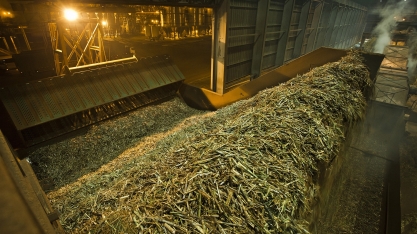 Até o dia 1º de outubro, 240 unidades bioenergéticas estavam em operação no Centro-Sul