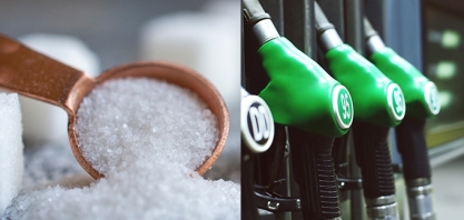 Açúcar: contratos iniciam a semana em alta de 2% na ICE de NY; Etanol subiu 10% em outubro