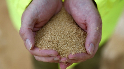 Czarnikow reduz excedente global de açúcar em 2022/23 para 2 milhões de toneladas