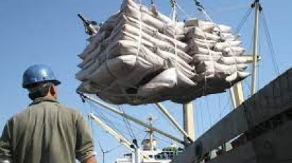 Firme como uma gelatina