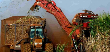 Produtividade da cana do centro-sul salta 21,4% em outubro, diz CTC