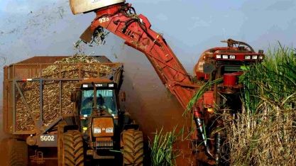 Produtividade da cana do centro-sul salta 21,4% em outubro, diz CTC