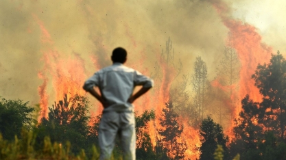 COP27: JBS e outras 13 empresas de alimentos apresentam plano para limitar aquecimento global